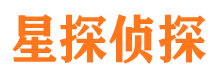 隰县市调查公司